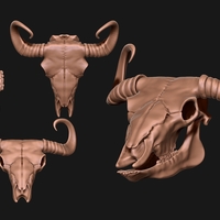 Small Bison Skull  3D Printing 507334