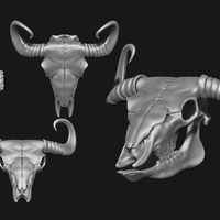 Bison Skull  - Thumbnail 2