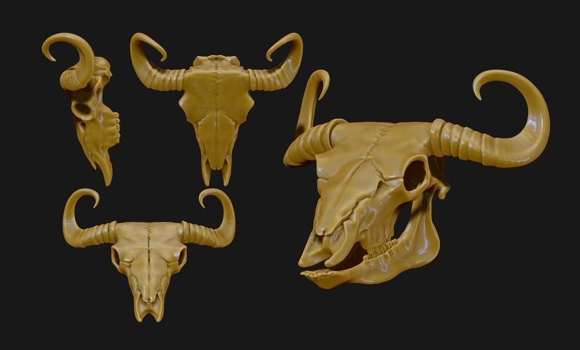 Bison Skull  3D Print 507336