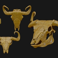Bison Skull  - Thumbnail 3