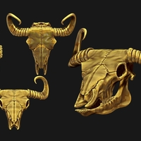 Bison Skull  - Thumbnail 4