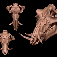 Small Boar Skull 3D Printing 507338