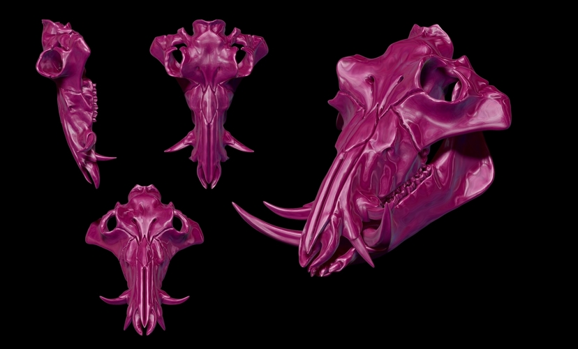 Boar Skull 3D Print 507339