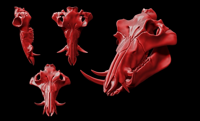 Boar Skull 3D Print 507341