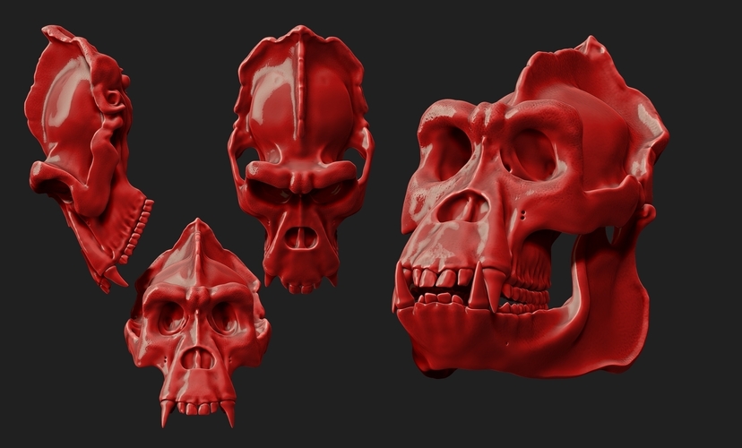 Gorilla Skull 3D Print 507347