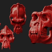 Gorilla Skull - Thumbnail 5