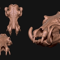 Small Hippopotamus Skull 3D Printing 507353