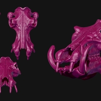 Hippopotamus Skull - Thumbnail 3