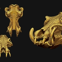 Hippopotamus Skull - Thumbnail 5