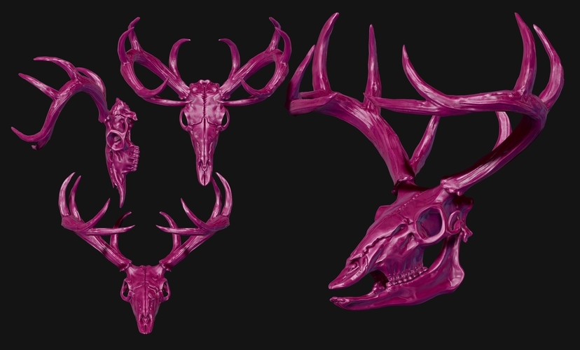 3D Printed Deer Skull by TheGoodBrick 3DM | Pinshape