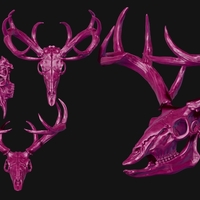 Deer Skull - Thumbnail 3