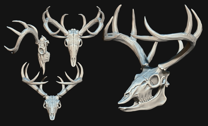 Deer Skull