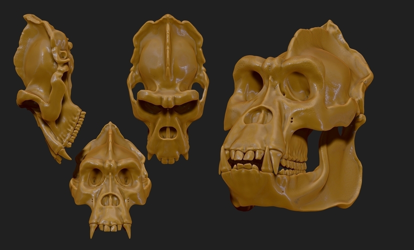 Gorilla Skull 3D Print 507482