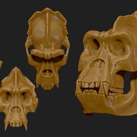 Gorilla Skull - Thumbnail 2