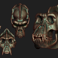 Gorilla Skull - Thumbnail 3