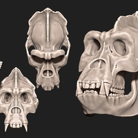 Small Gorilla Skull 3D Printing 507487