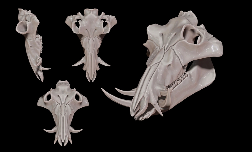 European Boar/Sus Scrofa Skull 3D Print 507489