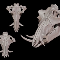 Small European Boar/Sus Scrofa Skull 3D Printing 507489