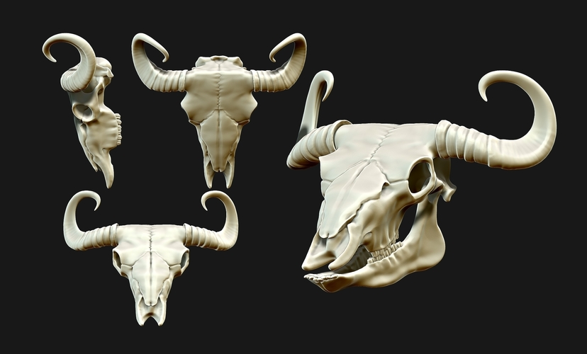 Bison Skull 3D Print 507496