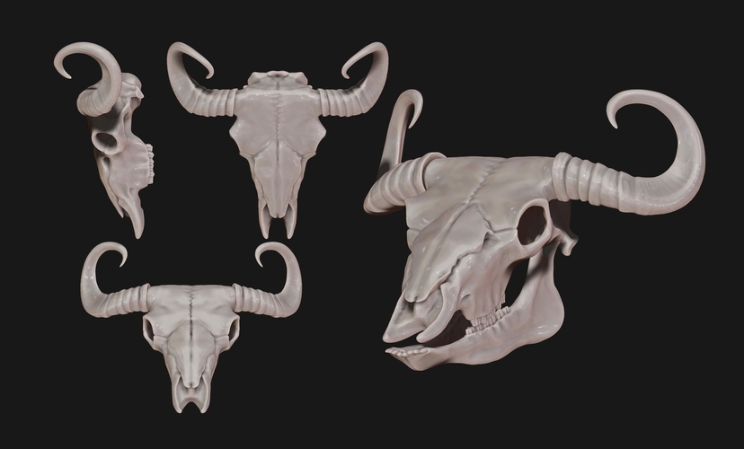 Bison Skull 3D Print 507497