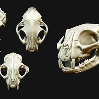 Small European Cat Skull 3D Printing 507499