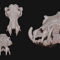 Small Hippopotamus Skull 3D Printing 507506