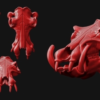 Hippopotamus Skull - Thumbnail 4