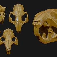 Beaver/Castor - Thumbnail 1