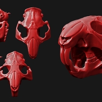 Beaver/Castor - Thumbnail 2