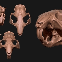 Beaver/Castor - Thumbnail 4