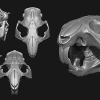 Beaver/Castor - Thumbnail 5