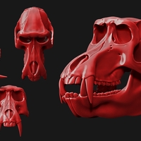 Baboon/Papio Skull - Thumbnail 4