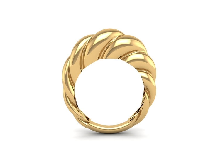 twisted Ring R 198 3D Print 507979