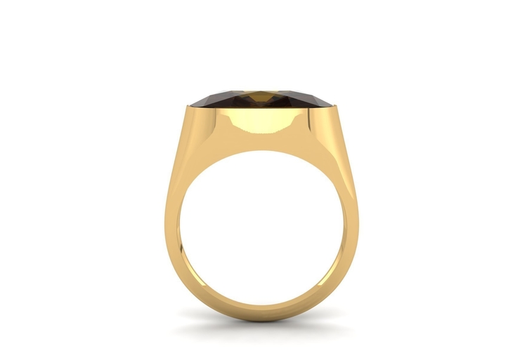 Signet Ring R 196 3D Print 508028