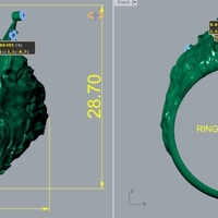 Lion Signet Ring R 181 - Thumbnail 5