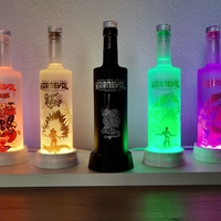 Small LED Bottle Light 3D Printing 508565