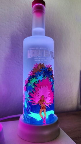 LED Bottle Light 3D Print 508574