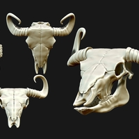 Animal Skulls Vol 1 -  3D Print 3D Model Collection - Thumbnail 2