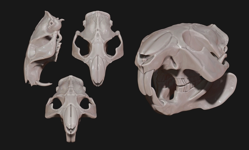 Animal Skulls Vol 1 -  3D Print 3D Model Collection 3D Print 508750