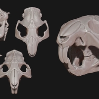 Animal Skulls Vol 1 -  3D Print 3D Model Collection - Thumbnail 4