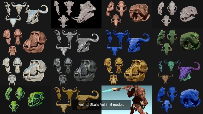Animal Skulls Vol 1 -  3D Print 3D Model Collection