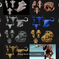 Small Animal Skulls Vol 1 -  3D Print 3D Model Collection 3D Printing 508756