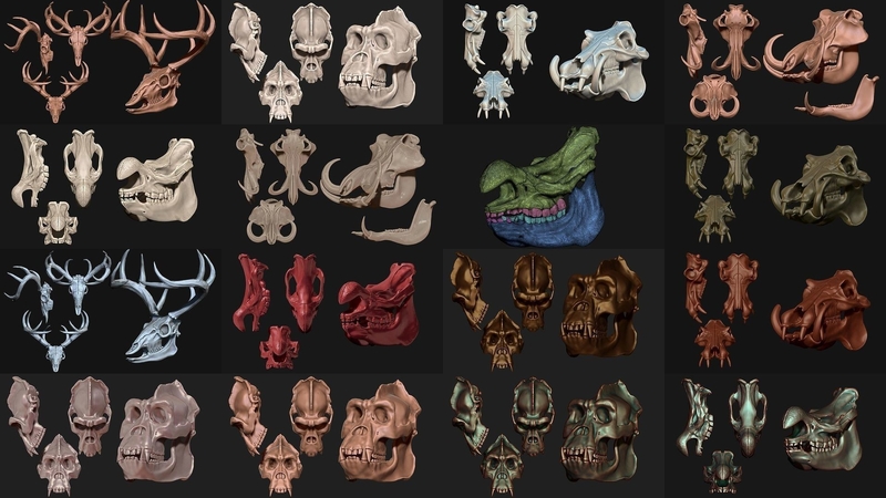 Animal Skulls Vol 2 - 3D Print 3D Models Collection