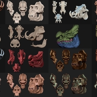 Small Animal Skulls Vol 2 - 3D Print 3D Models Collection 3D Printing 508757