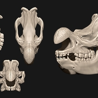Animal Skulls Vol 2 - 3D Print 3D Models Collection - Thumbnail 6