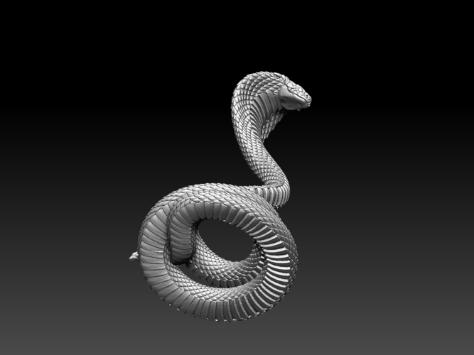 Cobra Snake | 3D Print Model