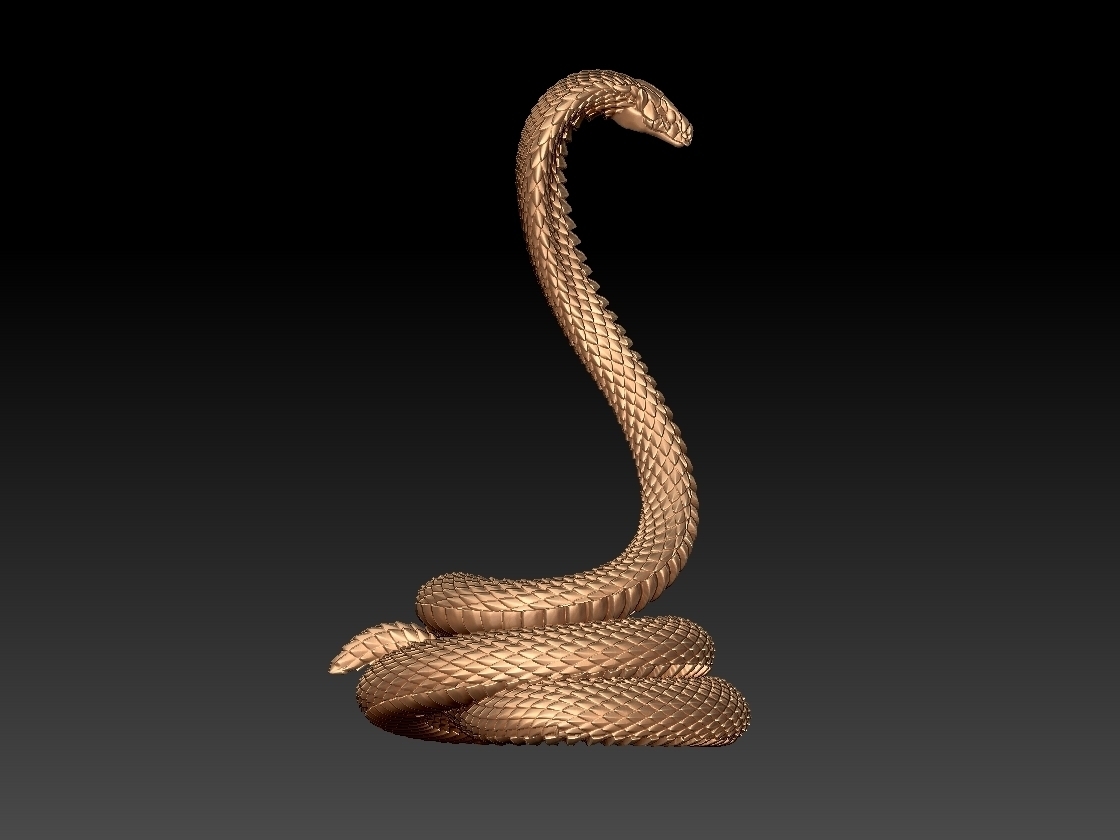 Snake cobra - Buy Royalty Free 3D model by explorertit36@gmail.com (@paydi)  [f53cc02]