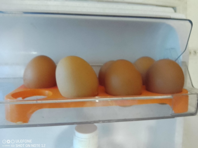 Ikea fridge egg holder, egg insert 3D Print 508987