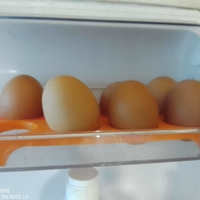 Ikea fridge egg holder, egg insert - Thumbnail 1