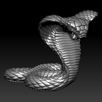 Cobra - Thumbnail 1